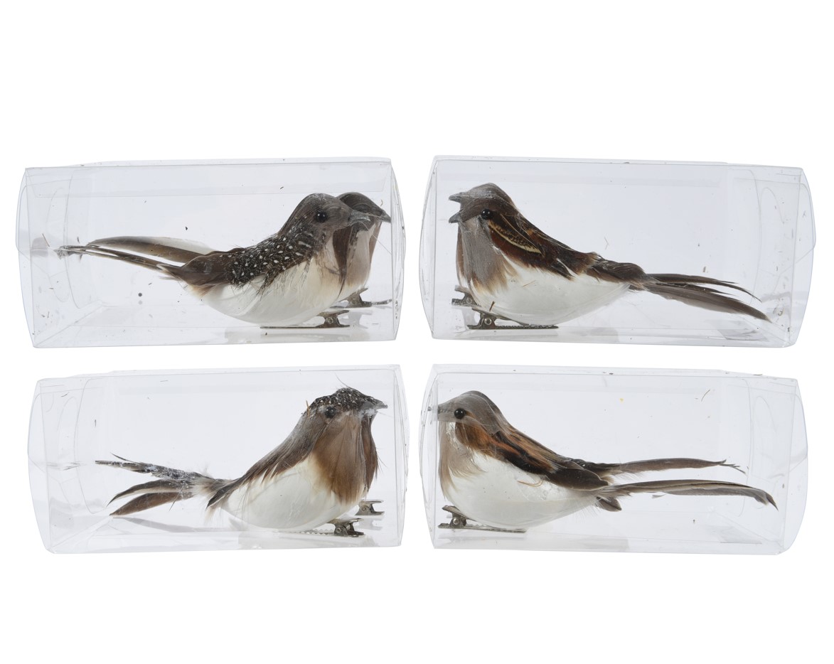 Fuglar á klemmu, 2 í pakka brúnir