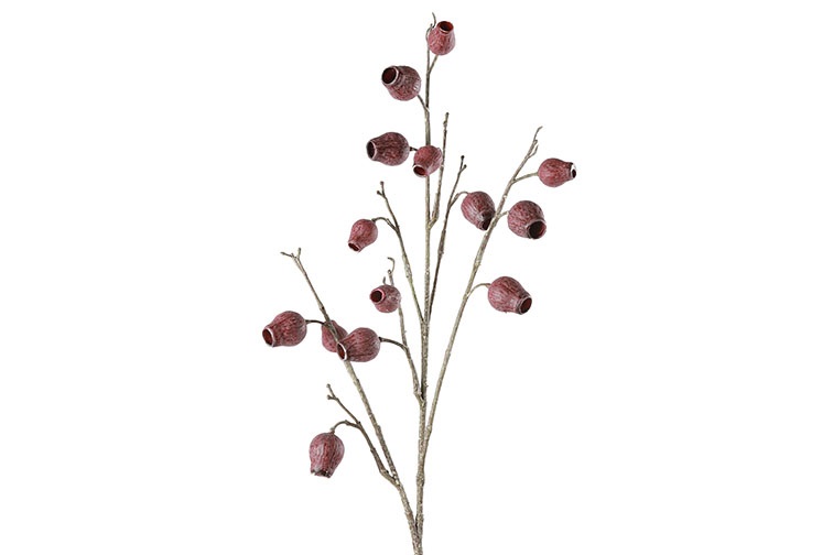 Gervi Eucalyptus h86cm purple