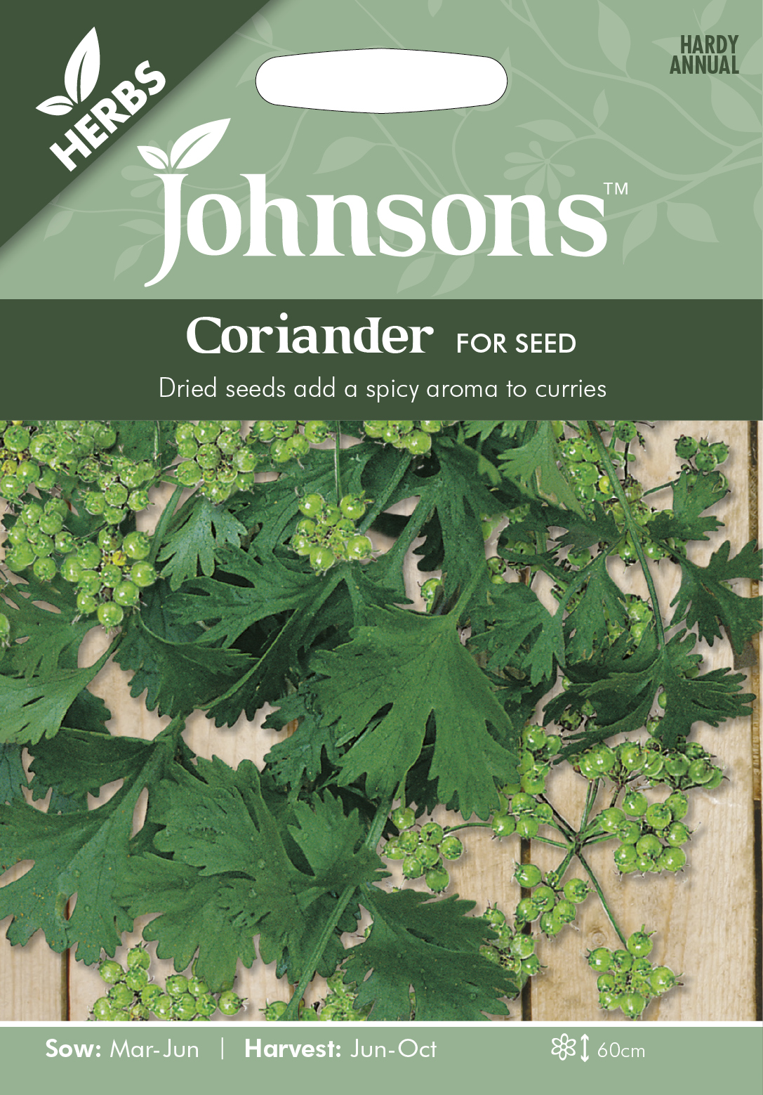 Fræ Coriander For Seed