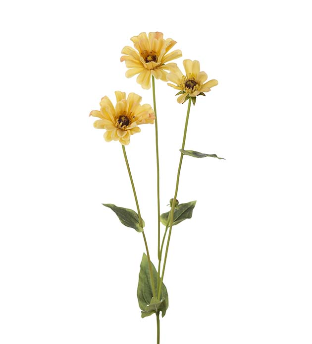 Gervi Zinnia 65cm gul