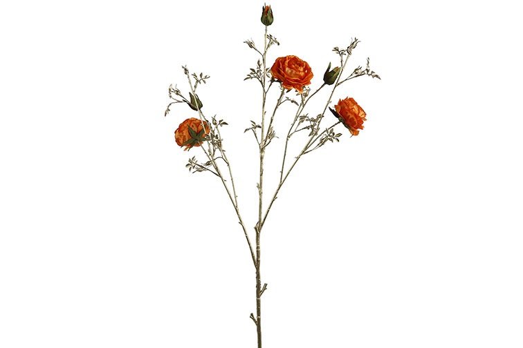 Gervi Rós 112cm orange