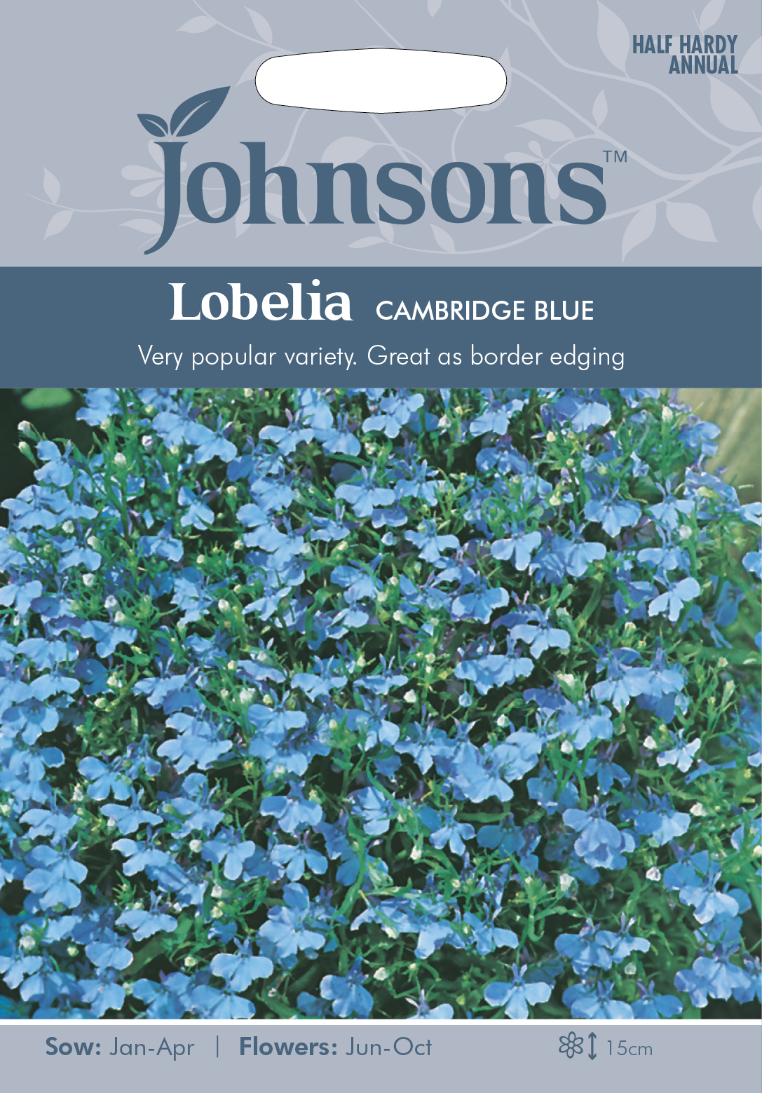 Fræ Lobelia Cambridge Blue