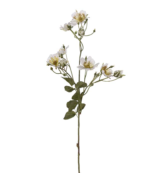 Gervi Japönsk Klettarós 65cm hvítt