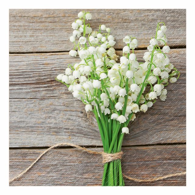 Servíettur Mady 33*33cm