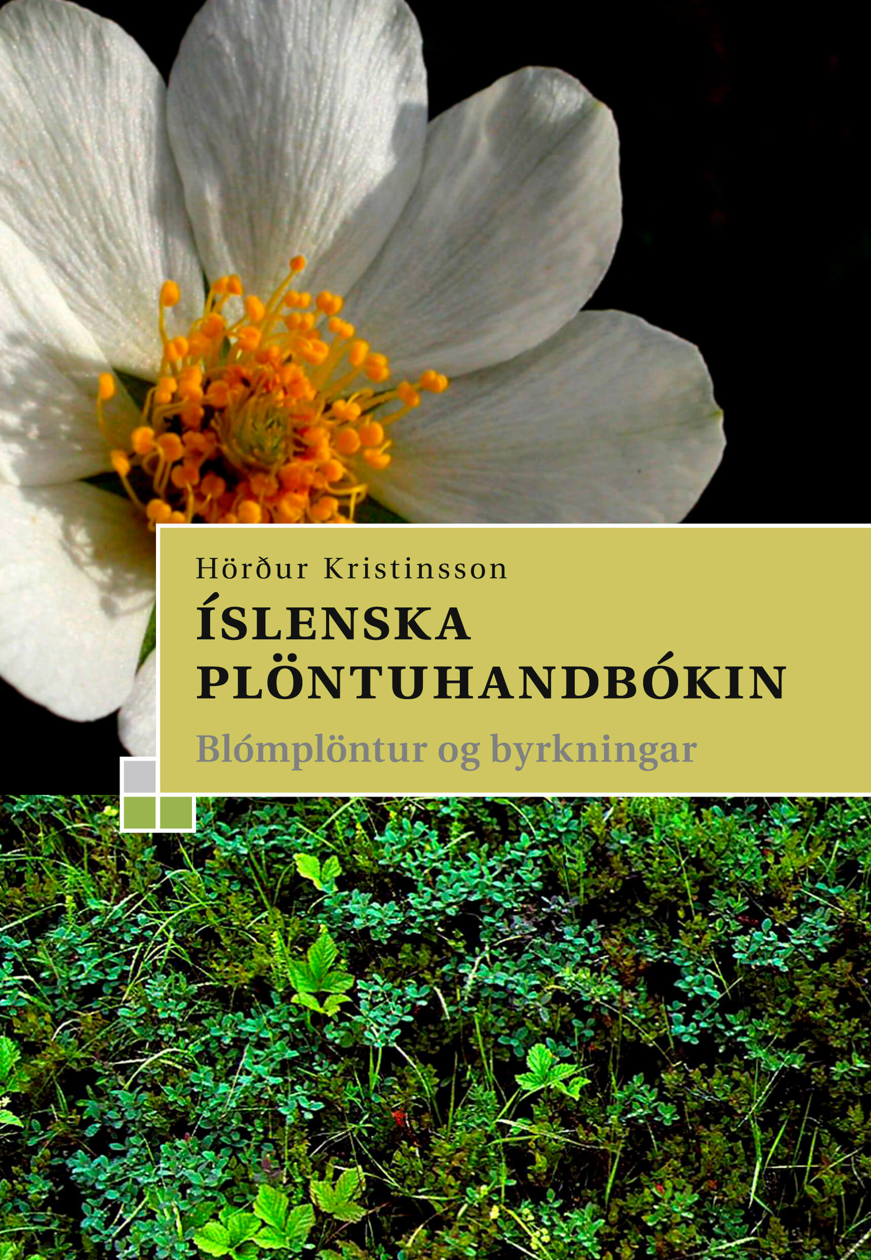Íslenska plöntuhandbókin