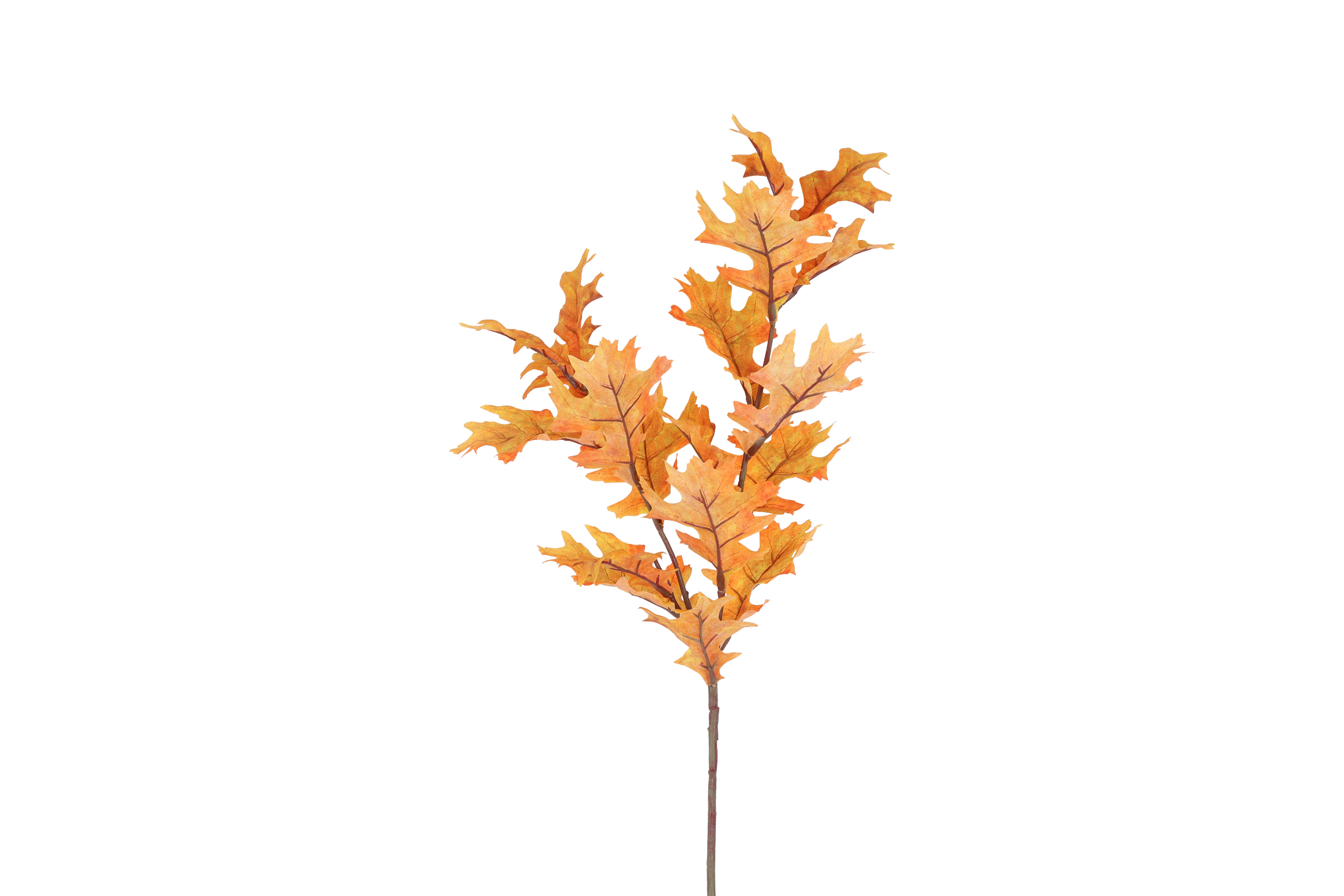 Gervi Quercus orange 94cm