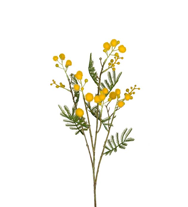Gervi Mimosa 60cm gul