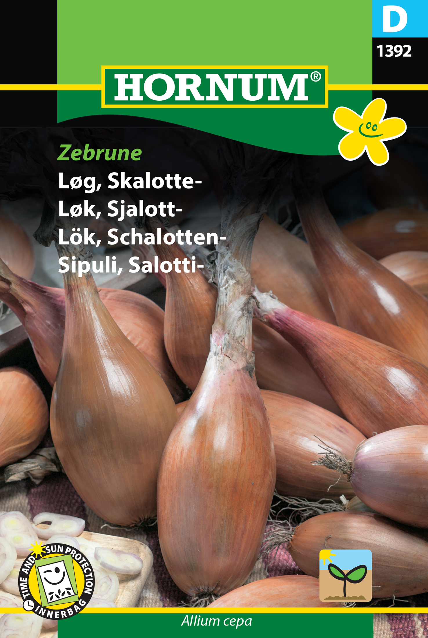 Fræ Skallotlaukur Allium cepa Zebrune