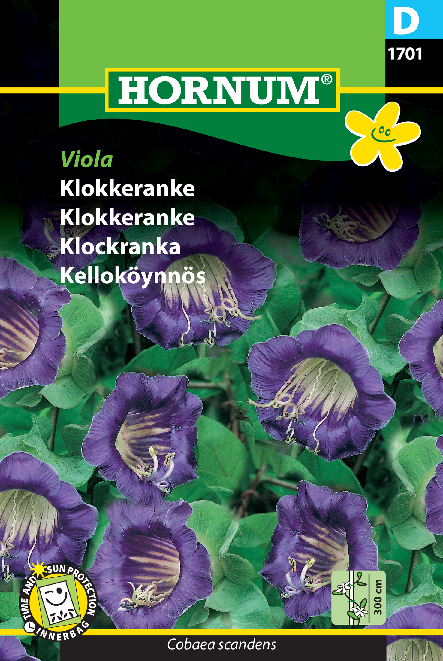 Fræ Klukkuviður Cobaea scandens Viola