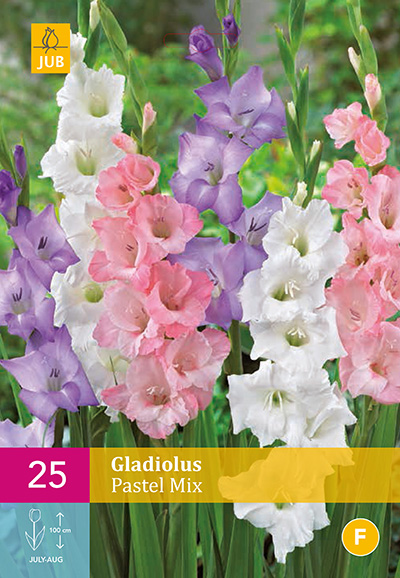 Gladiolus Pastel Mix 25stk. XXL