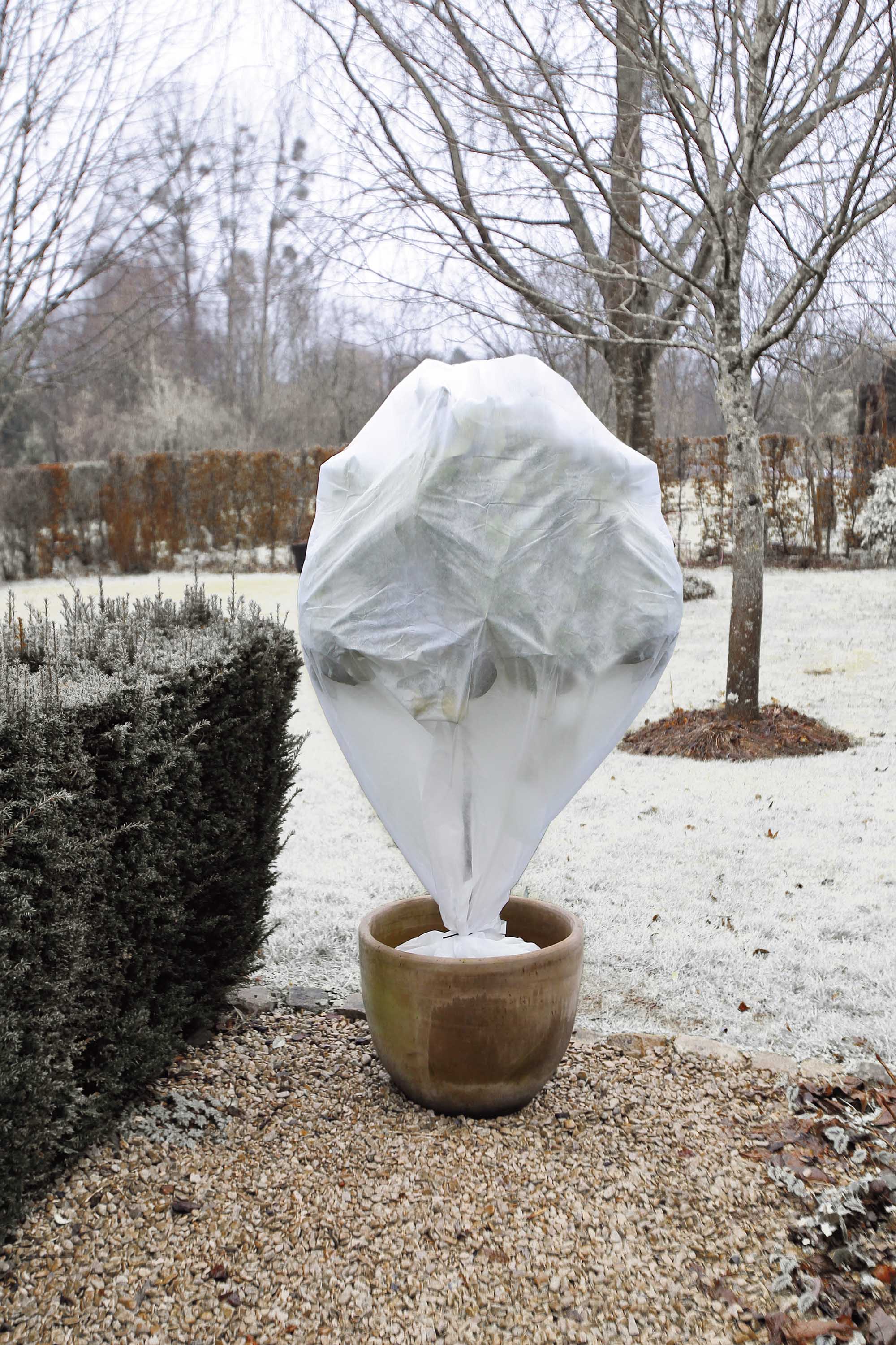 Vetrarskjól 48*H75cm 3stk.