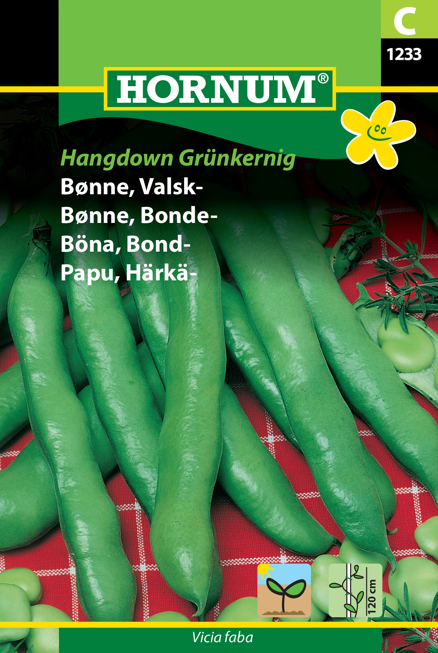 Fræ Bóndabaunir Vicia faba Hangdown grunkernig