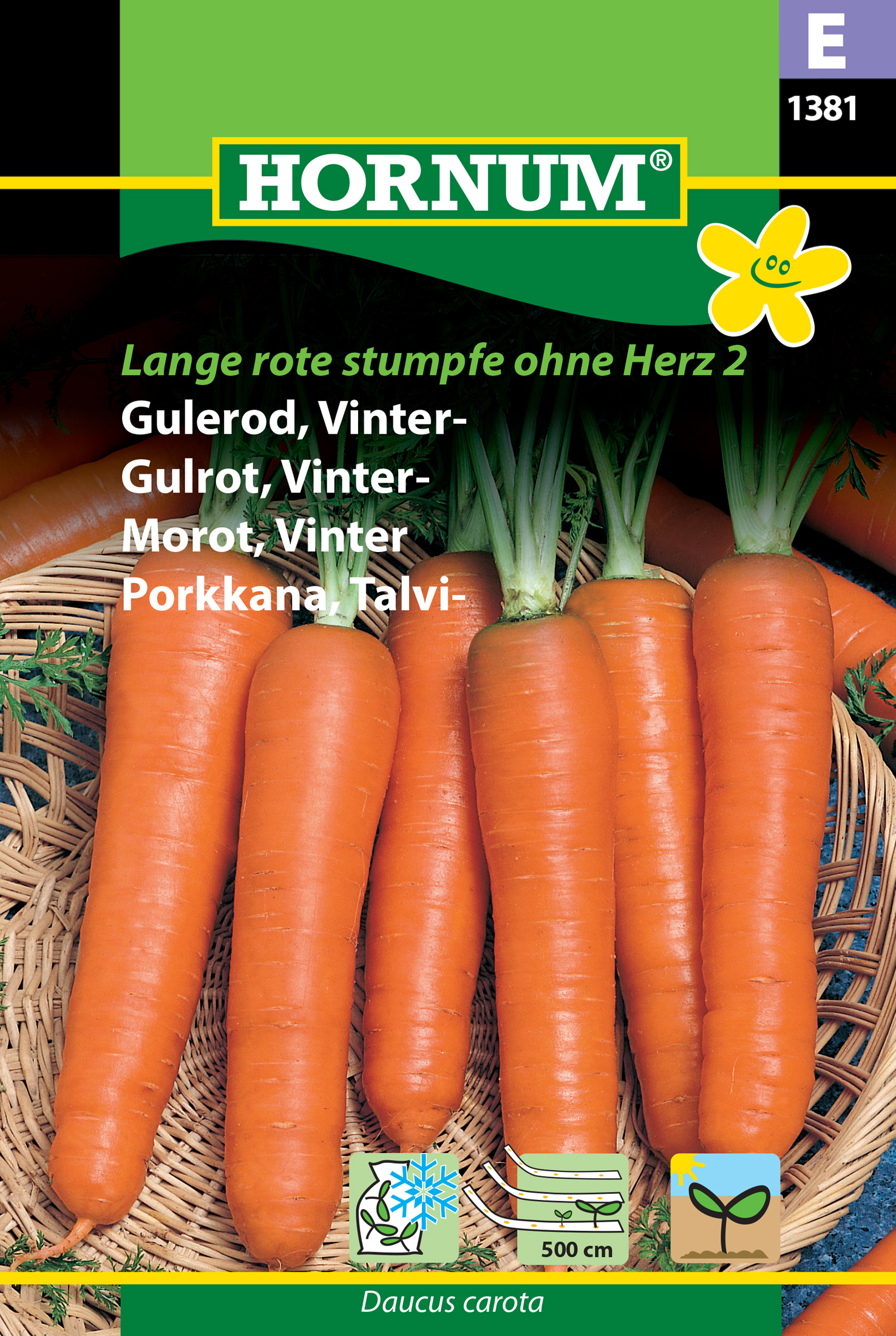 Fræ Gulrætur Daucus carota Lange rote stumpfe ohne Herz 2