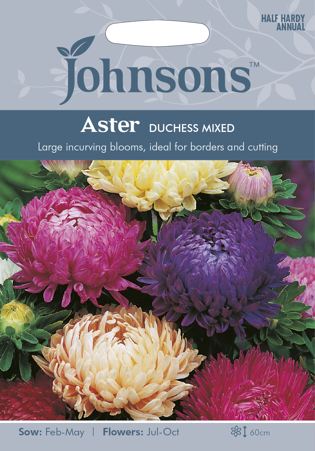 Fræ Aster Duchess Mixed