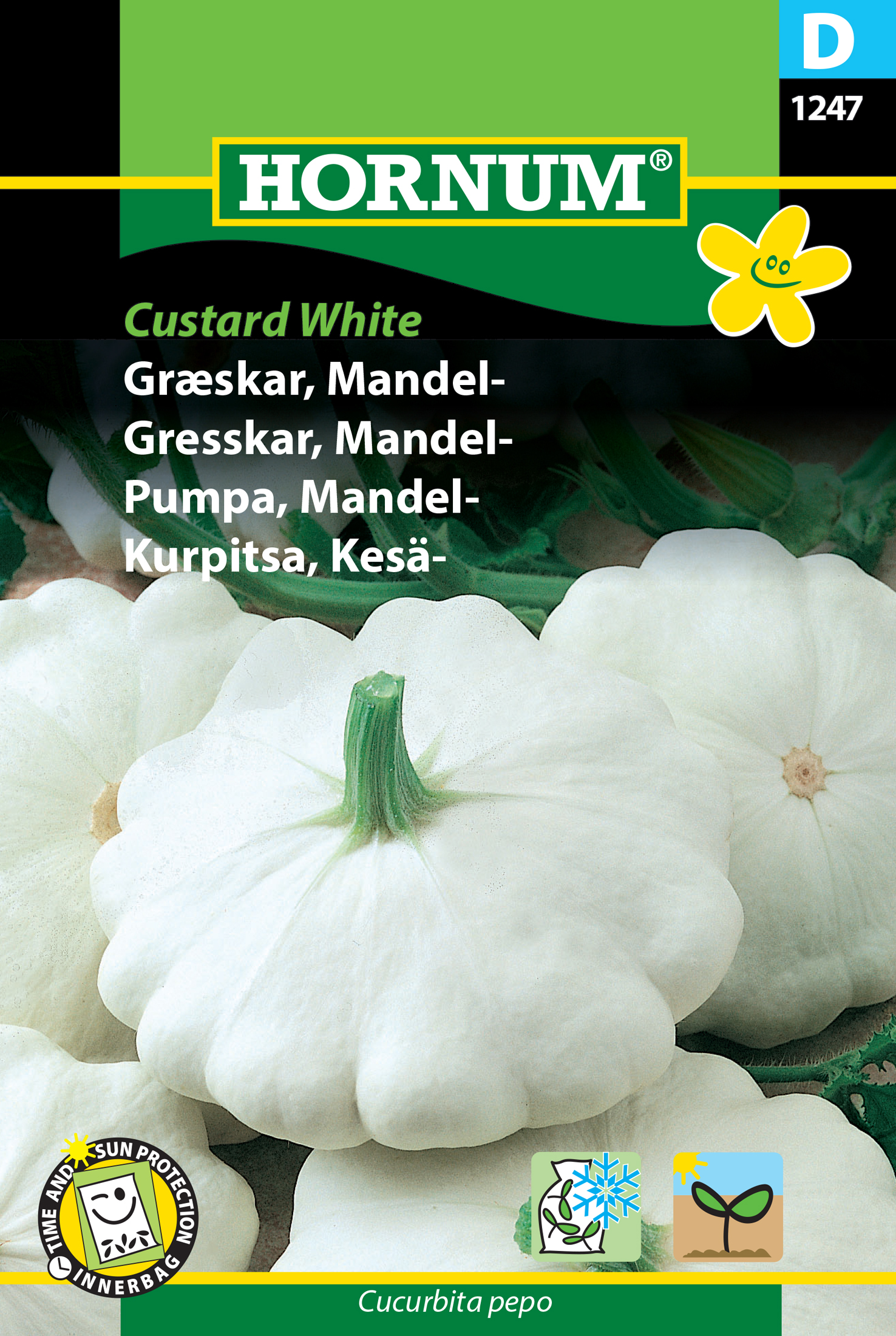Fræ Grasker Cucurbita pepo Custard White