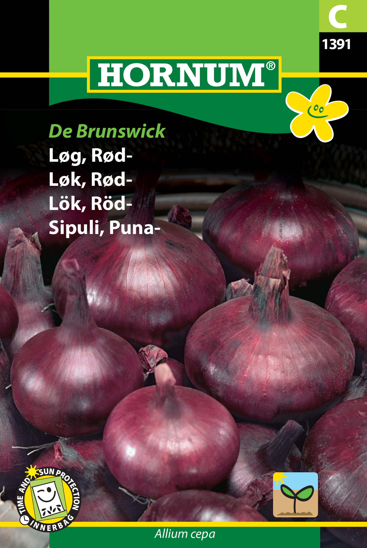 Fræ Rauðlaukur Allium cepa De Brunswick