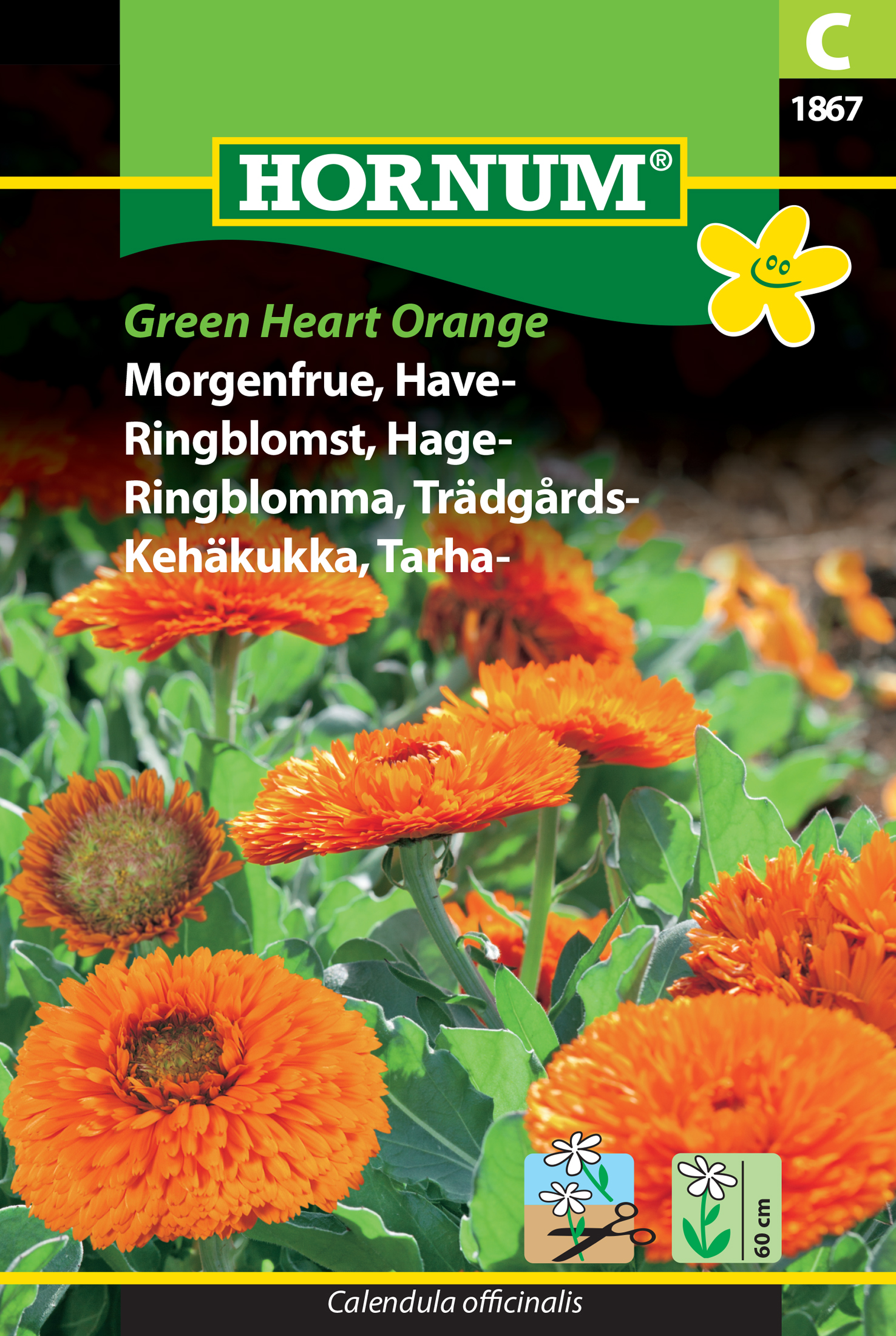 Fræ Morgunfrú Calendula officinalis Green Heart Orange