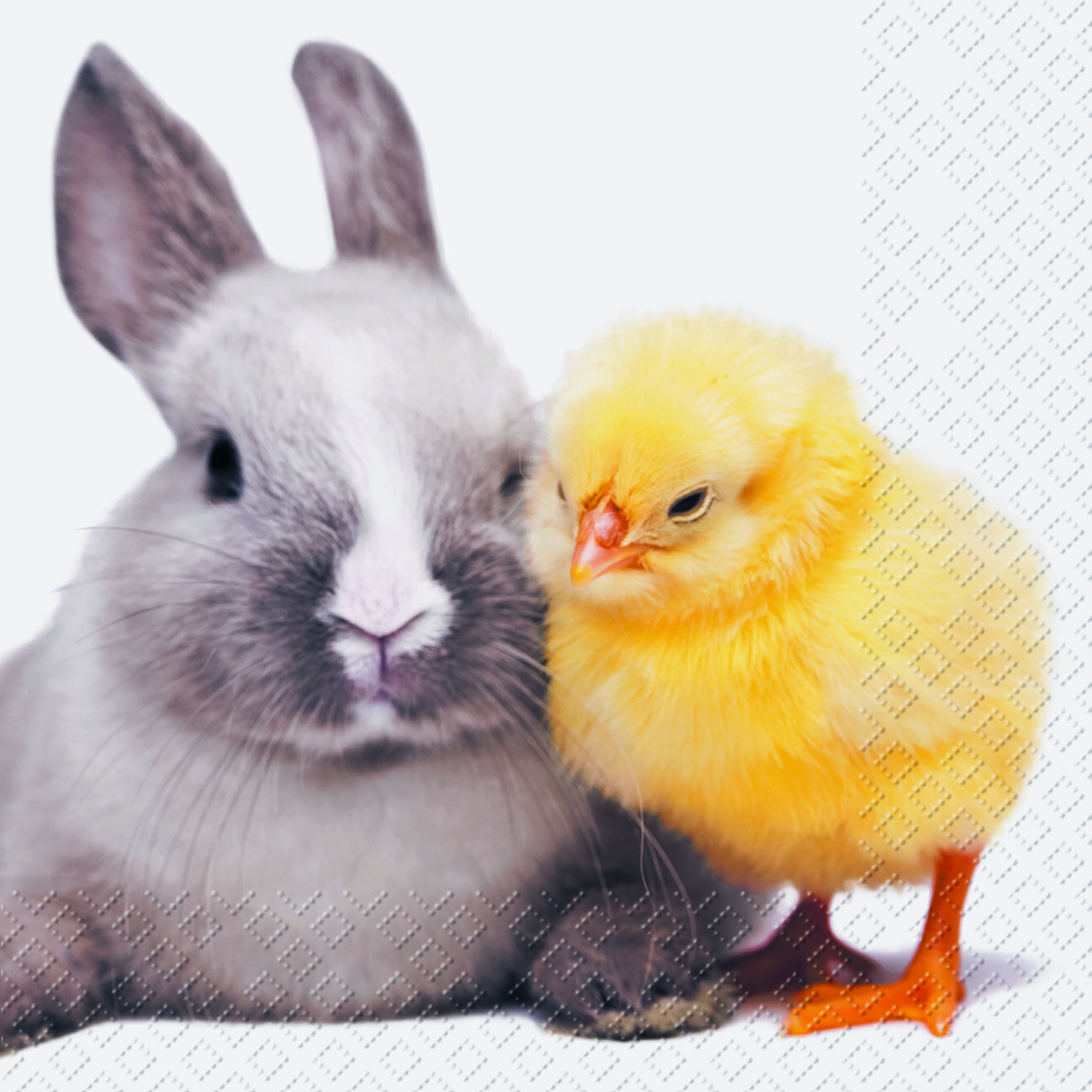 Servíettur Stewo Henning 33*33cm 15stk.