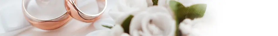 Banner Brudkaup