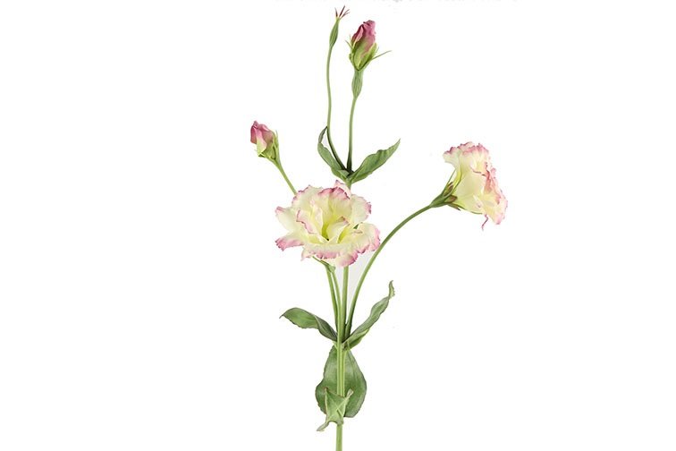 Gervi Lisianthus 94cm bleikur
