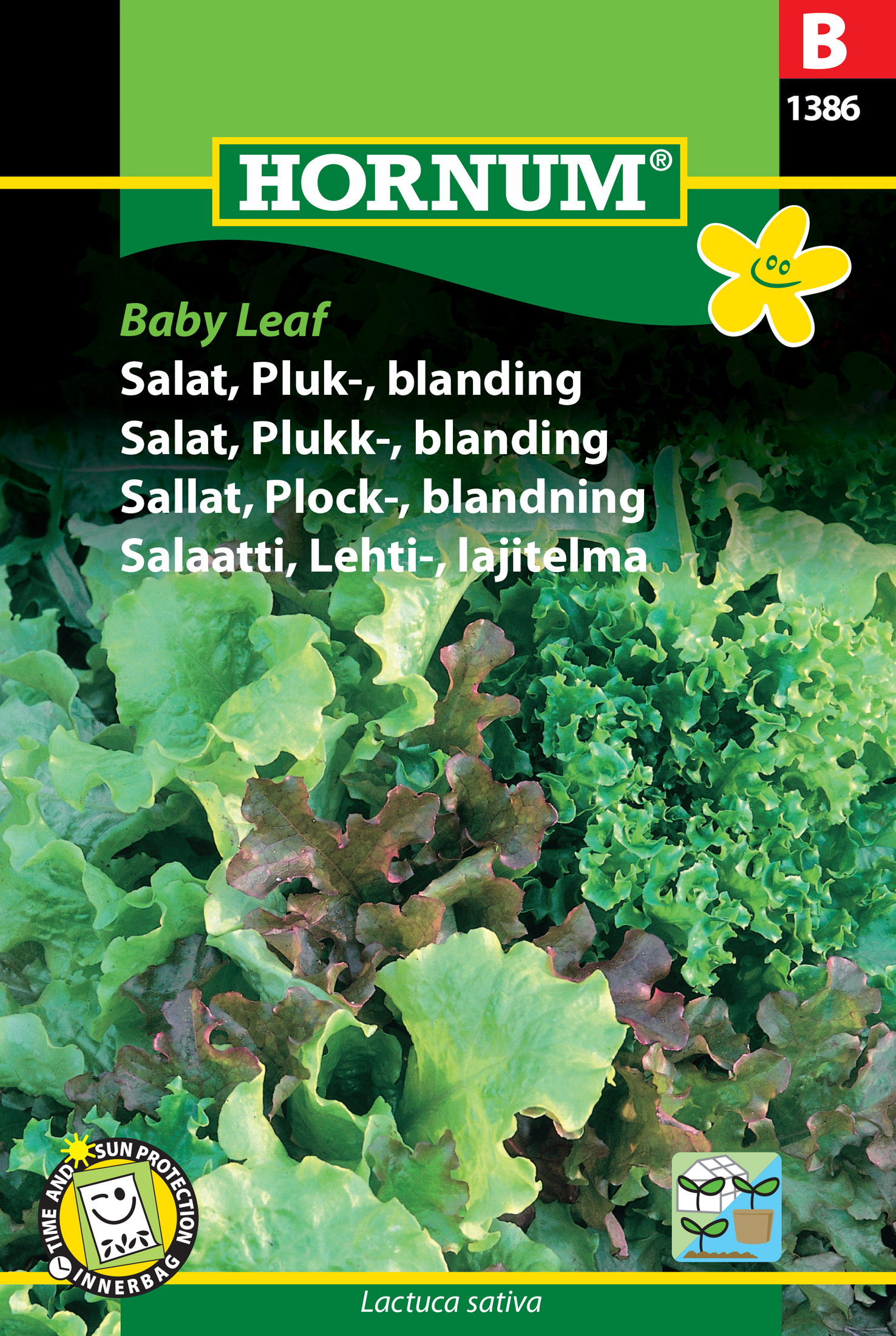 Fræ Salat Lactuca sativa Baby Leaf