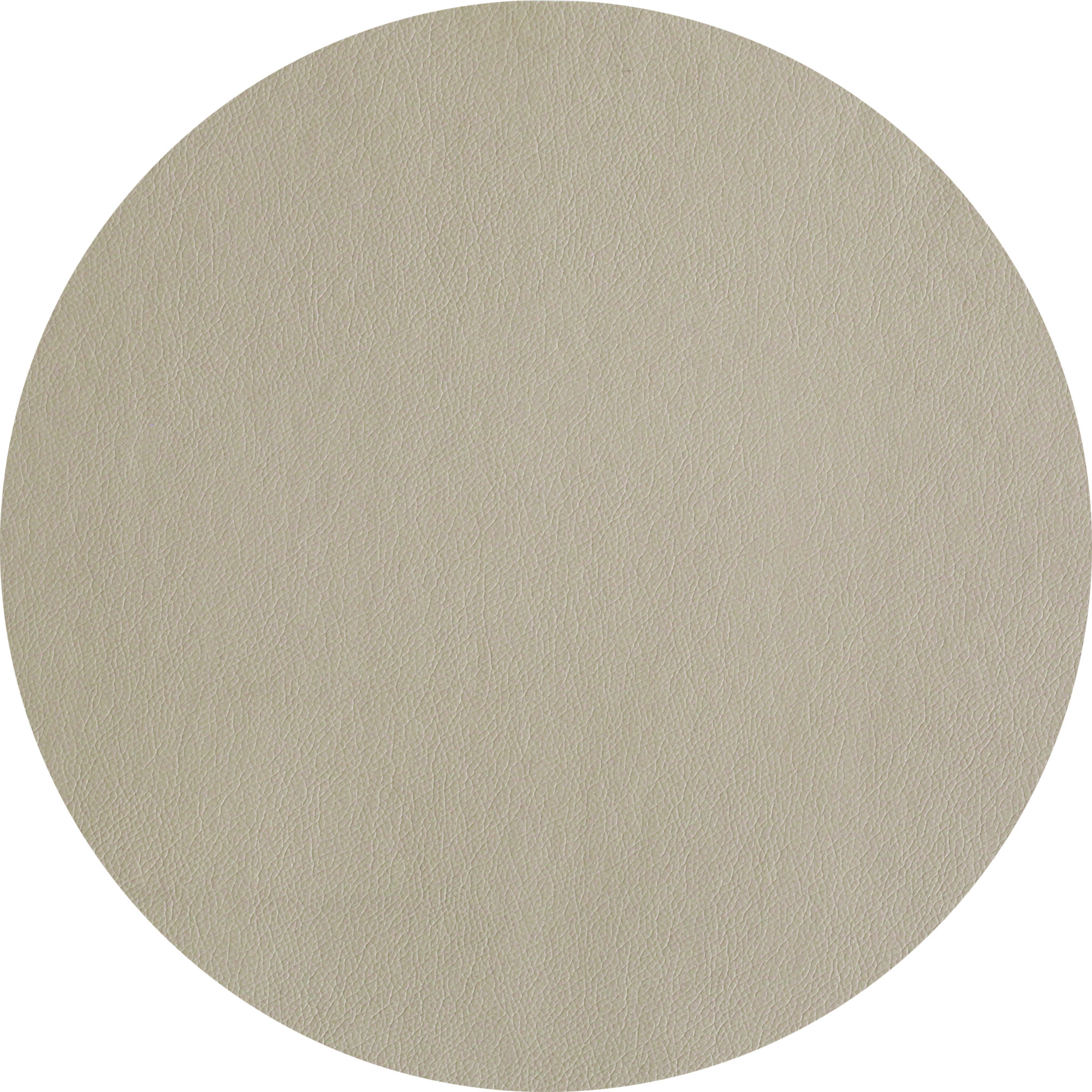 Diskamotta hringlaga, Steinlituð