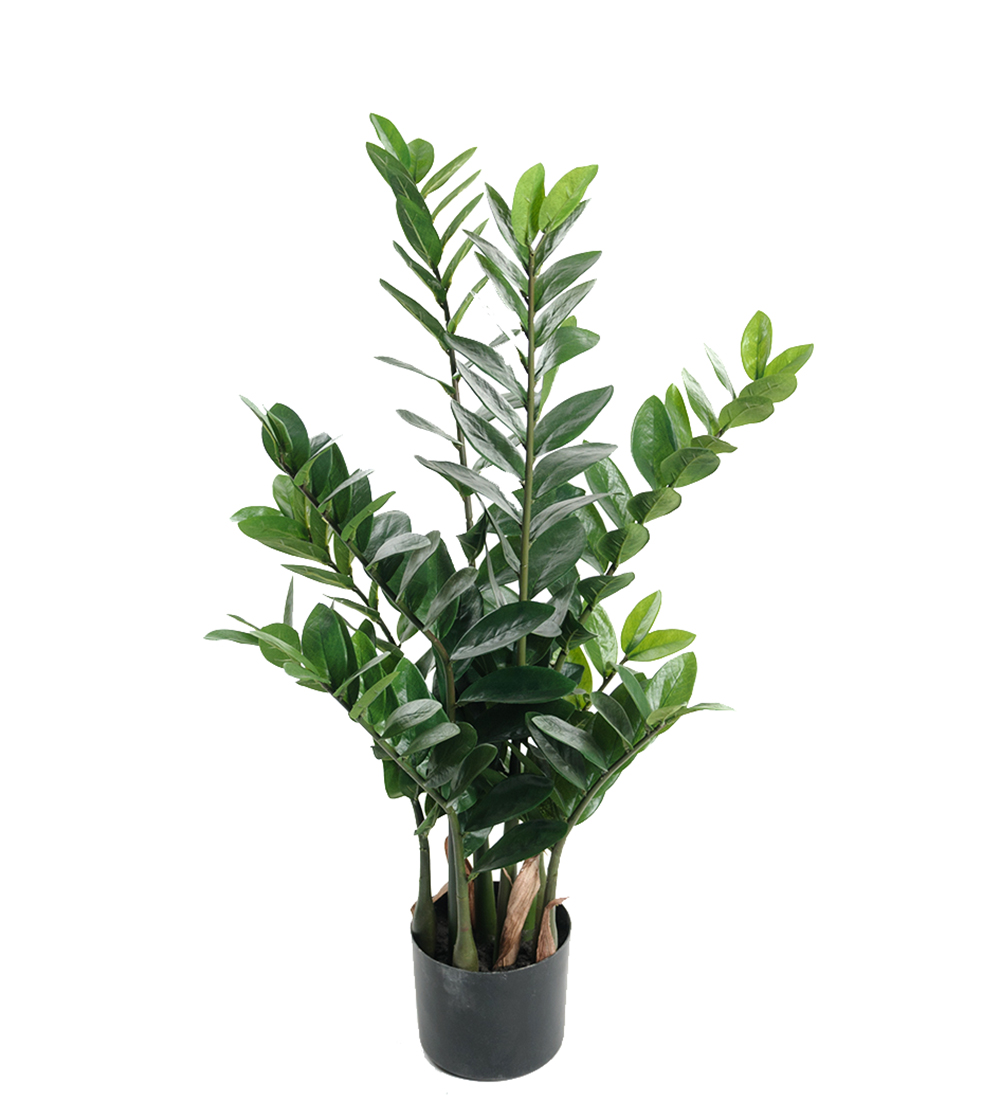 Gervi Sómakólfur/Zamiifolia í pt. 90cm