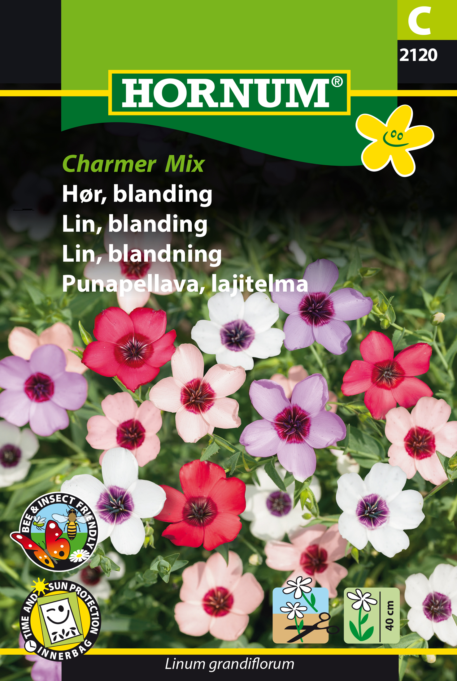 Fræ Sumarlín Linum grandiflorum Charmer mix