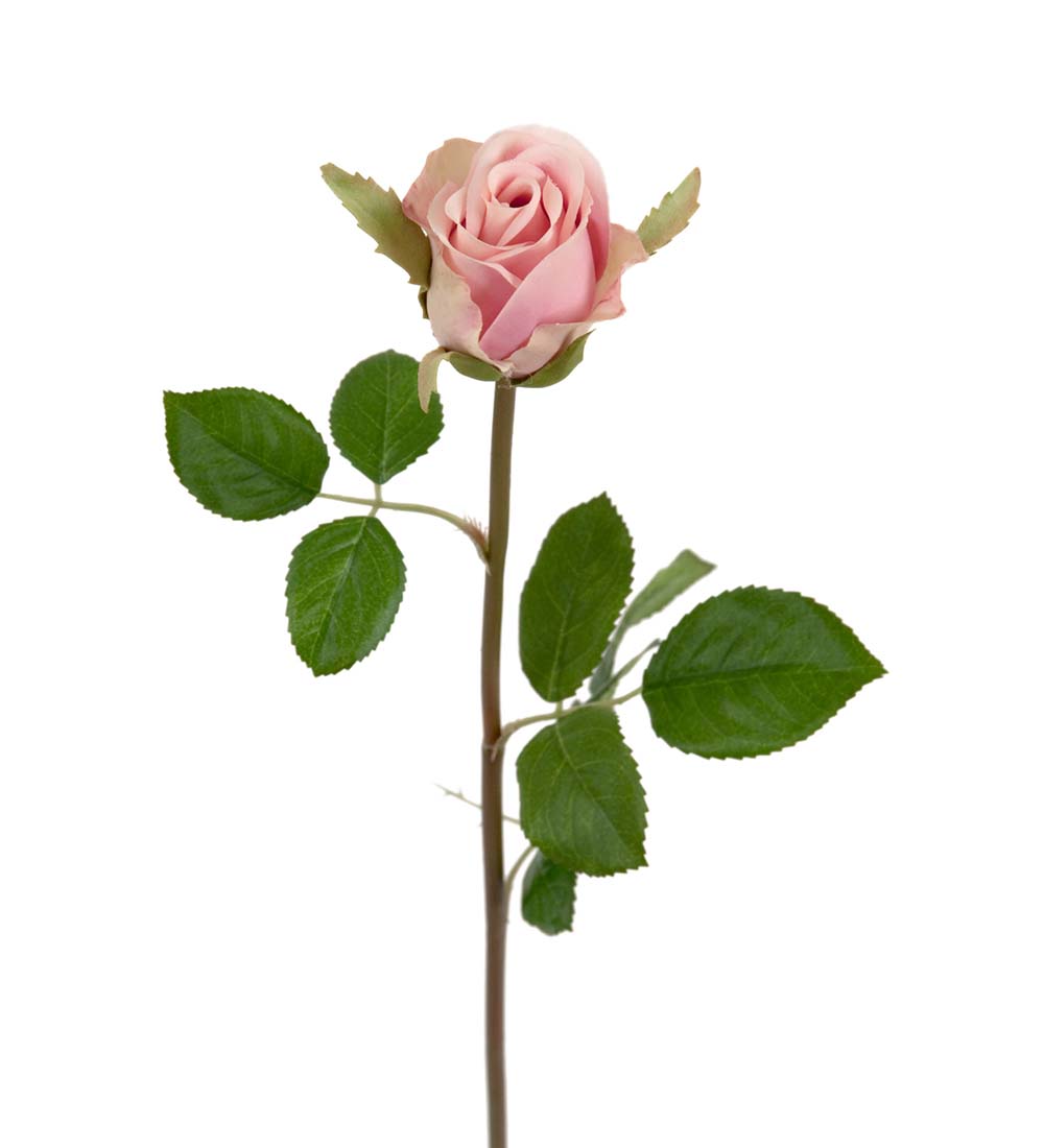 Gervi Rós 50cm bleik