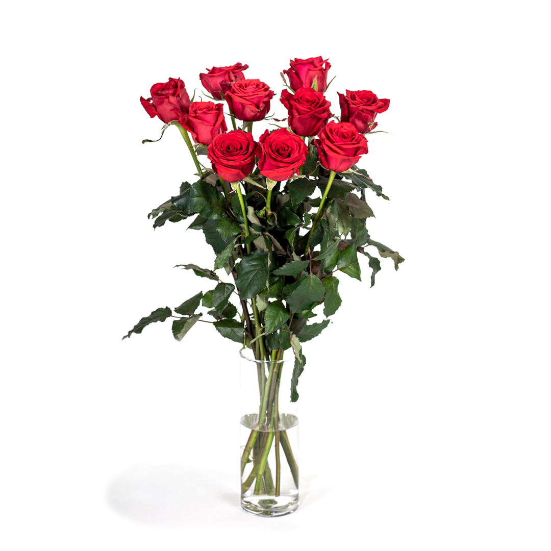 Rósir 45cm 10 stk.  val á lit