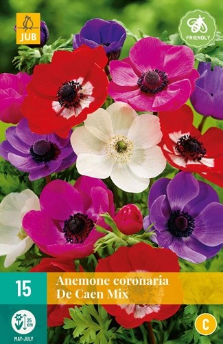 Anemone Coronaria De Caen 5/6 15stk
