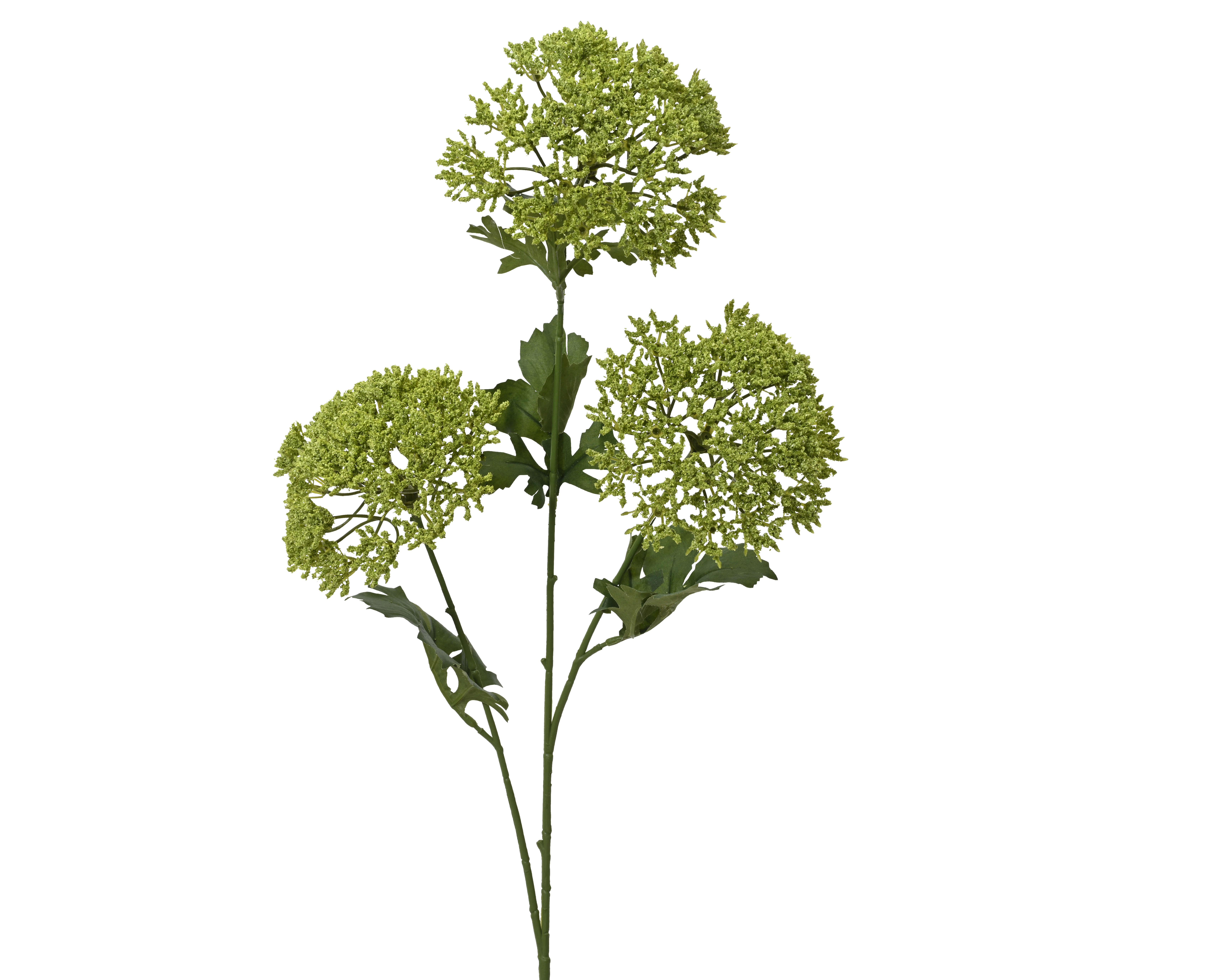 Gervi spray dill grænt 87cm