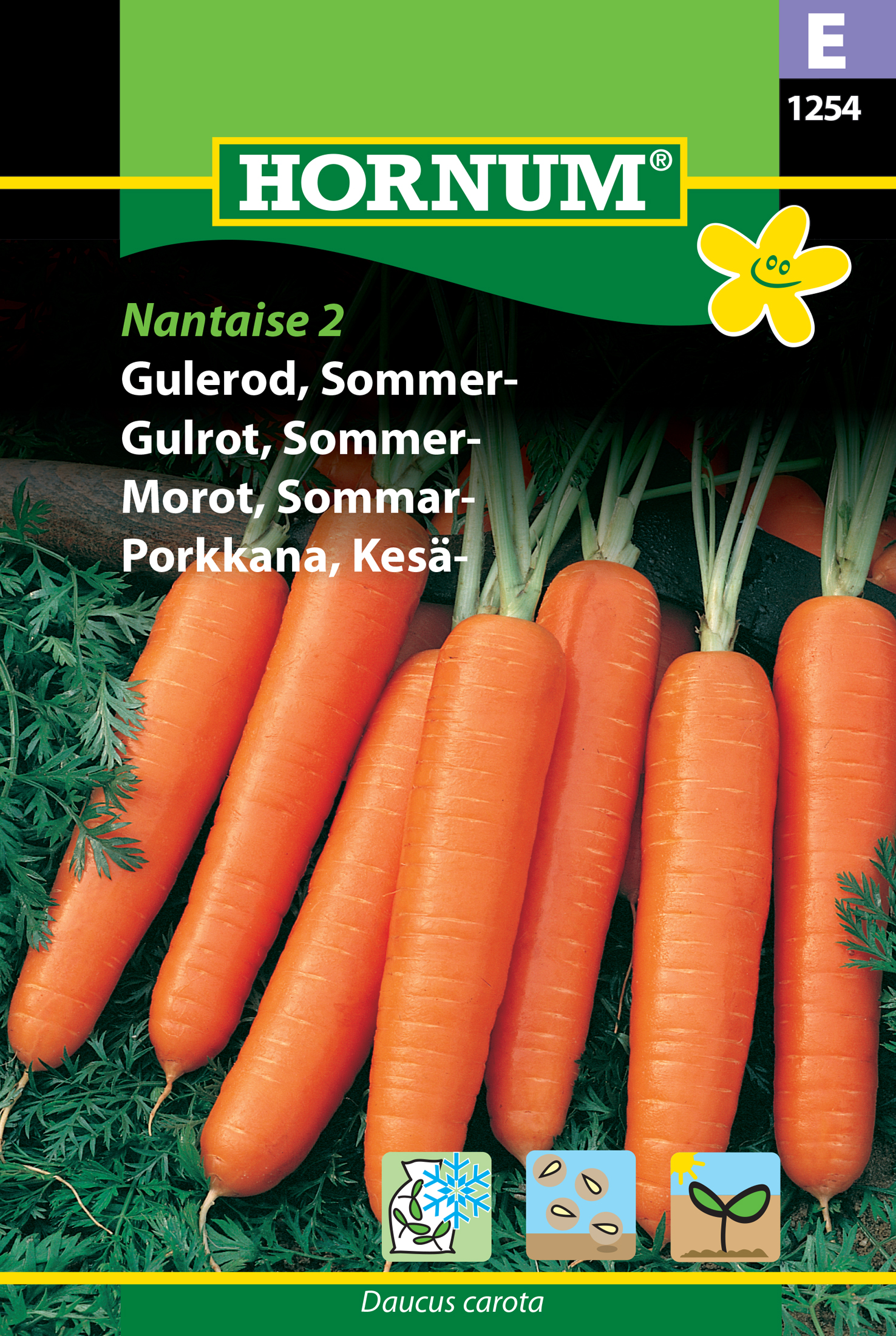 Fræ Gulrætur Daucus carota Nantaise 2