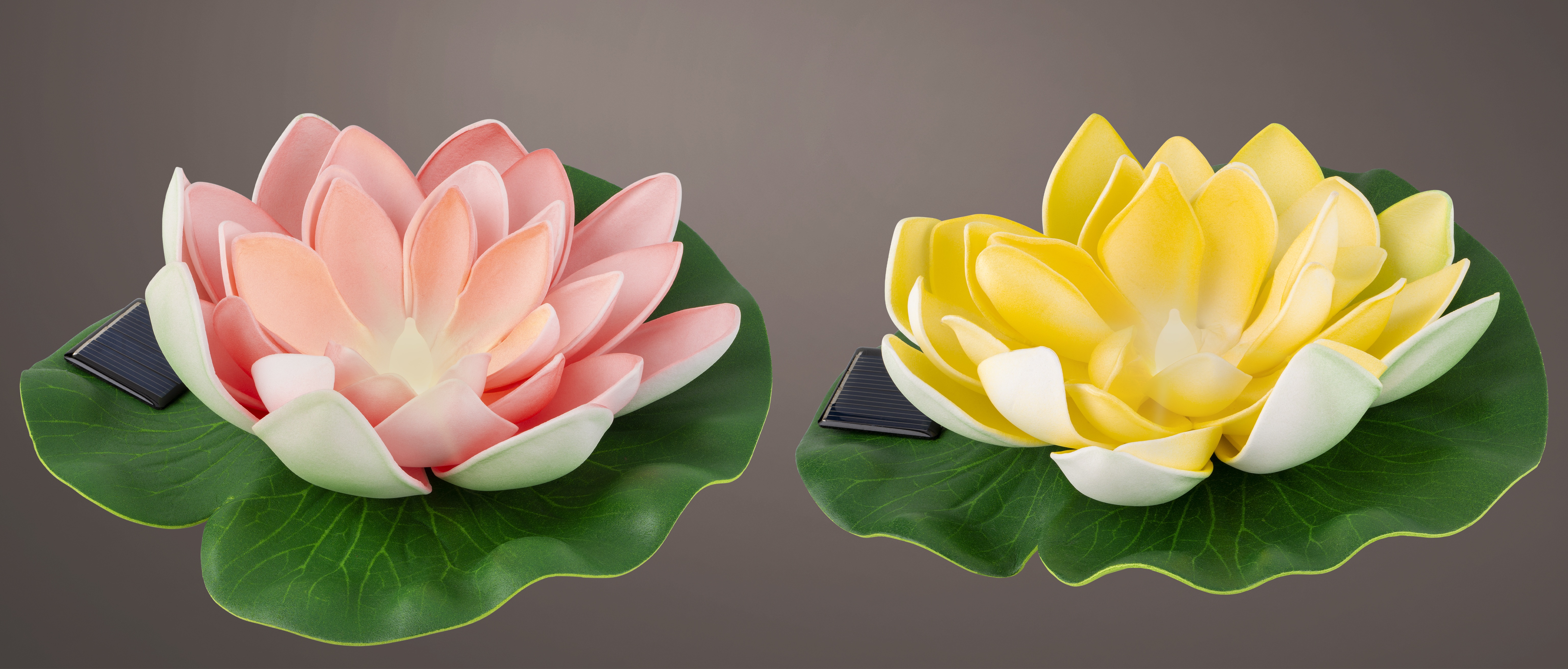 Sólarljós lotus 16,5*17,5*h6cm 2 litir