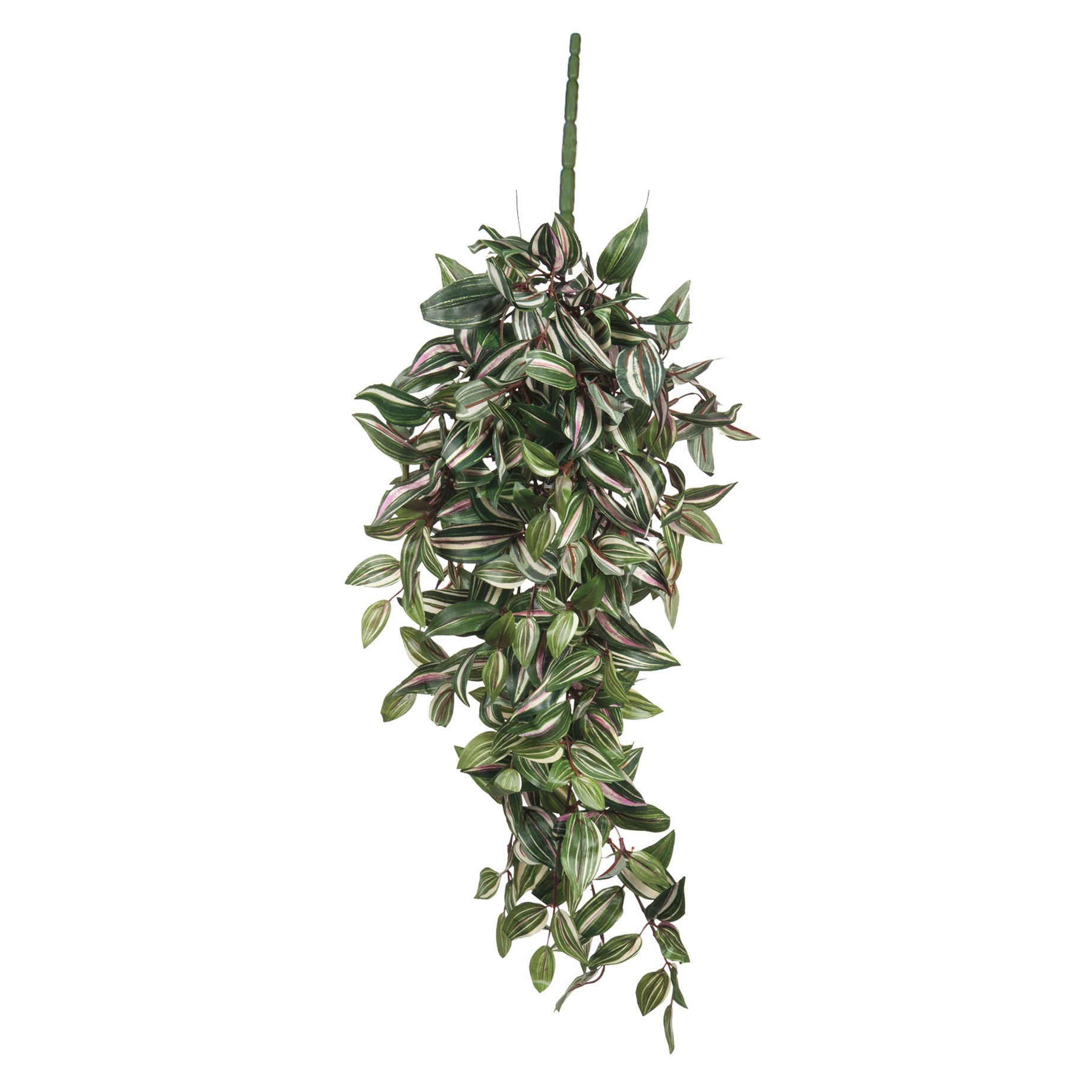 Gervi hengiplanta Tradescantia 80*30*h15cm