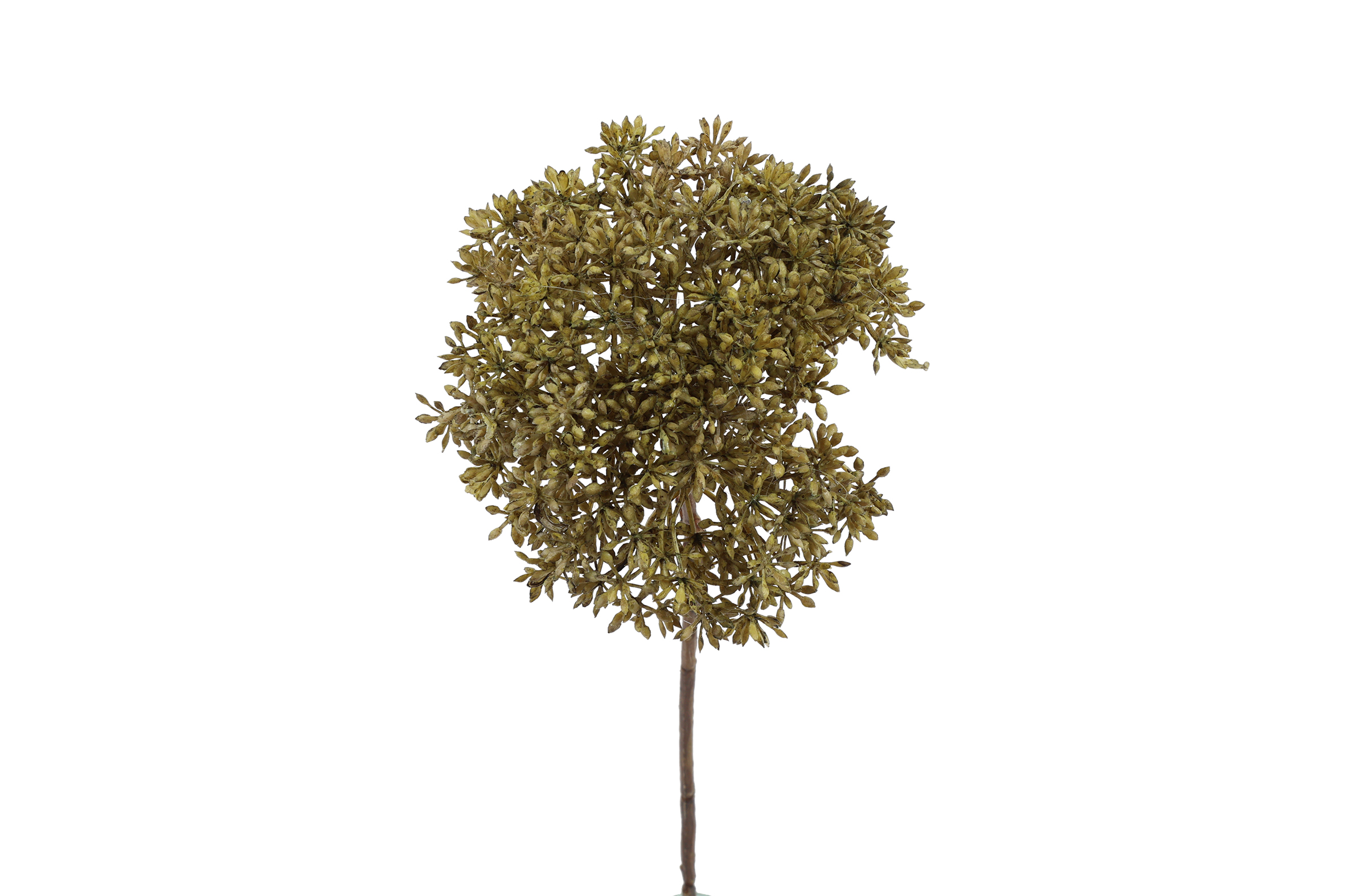 Gervi Eupatorium 65cm gyllt