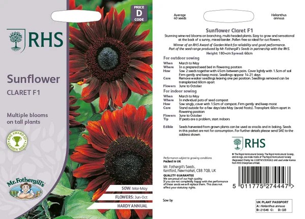 Fræ SUNFLOWER Claret F1