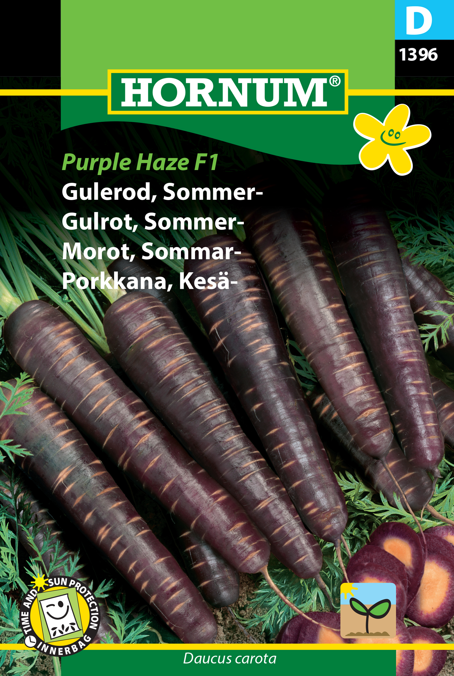 Fræ Gulrætur Daucus carota Purple Haze F1
