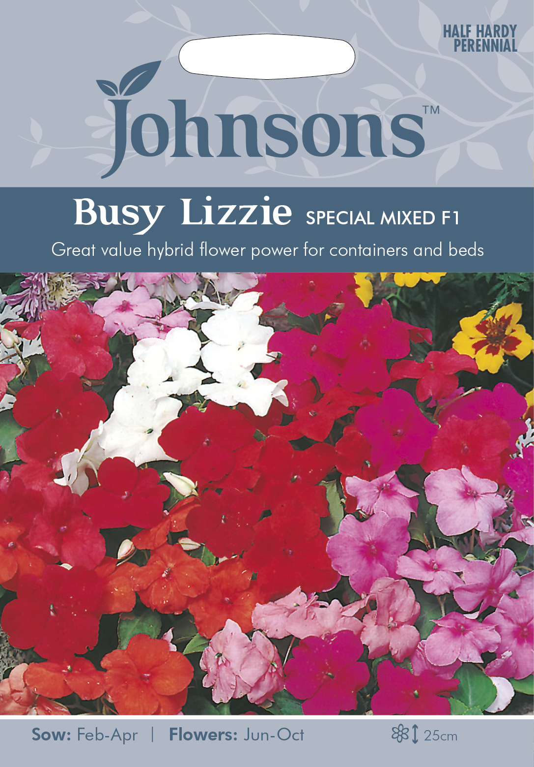 Fræ Busy Lizzie Special Mixed F1