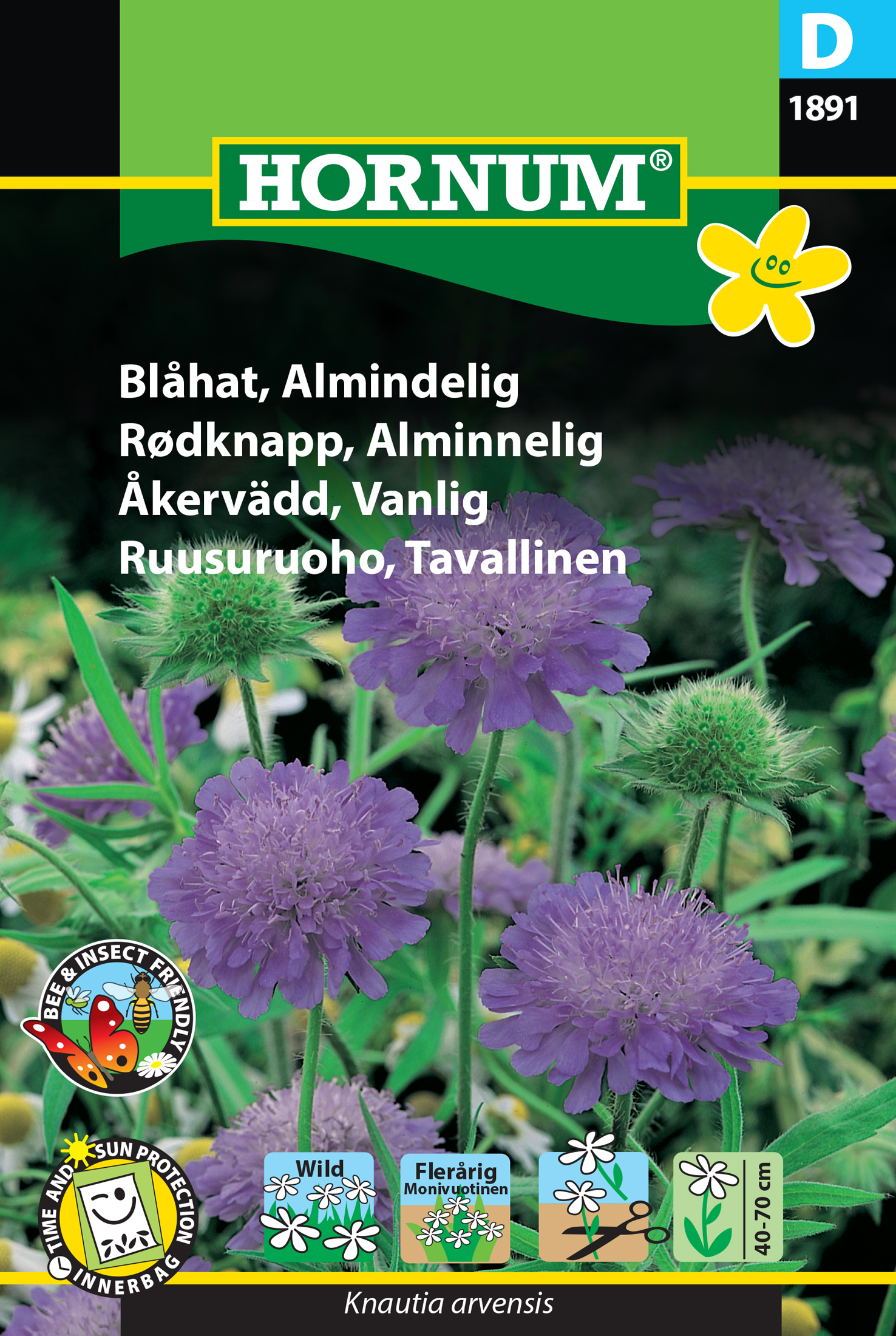 Fræ Rauðkollur Knautia arvensis