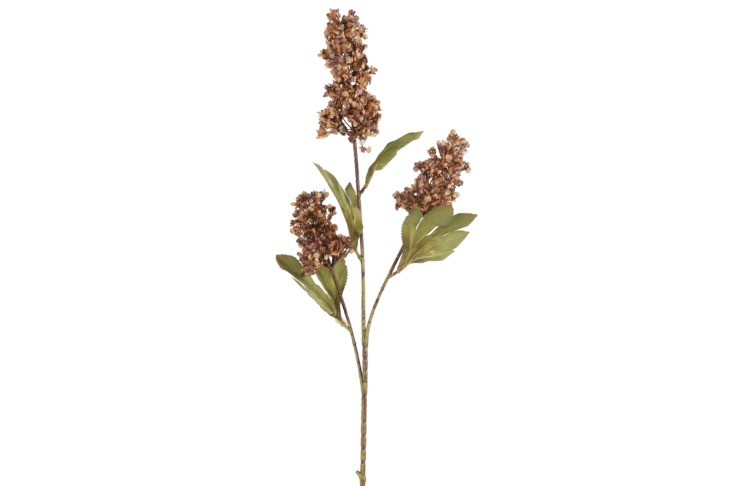 Gervi Fatsia japonica 87cm brún