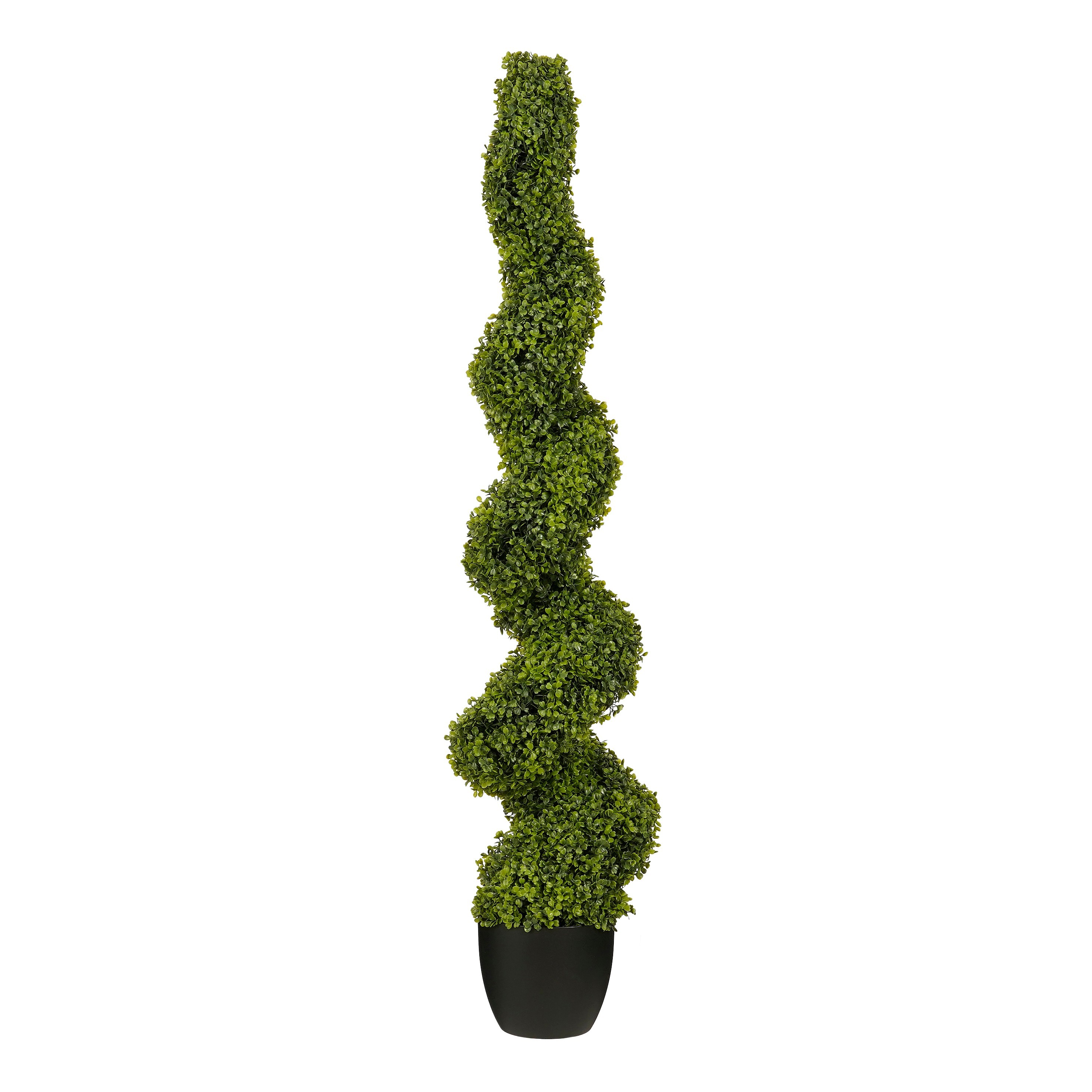 Gervi Boxwood tré snúið grænt h150cm
