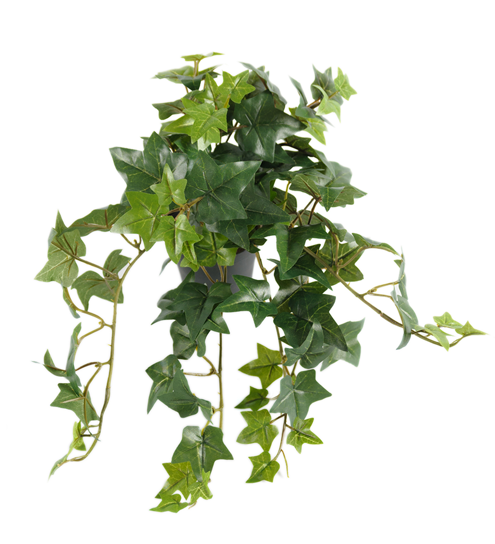 Gervi Bergflétta í 10cm pt.