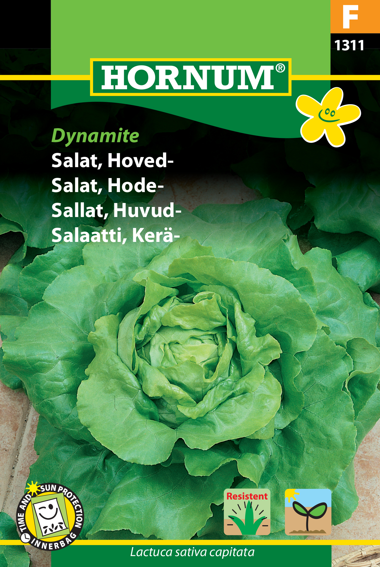 Fræ Höfuðsalat Lactuca sativa capitata Dynamite