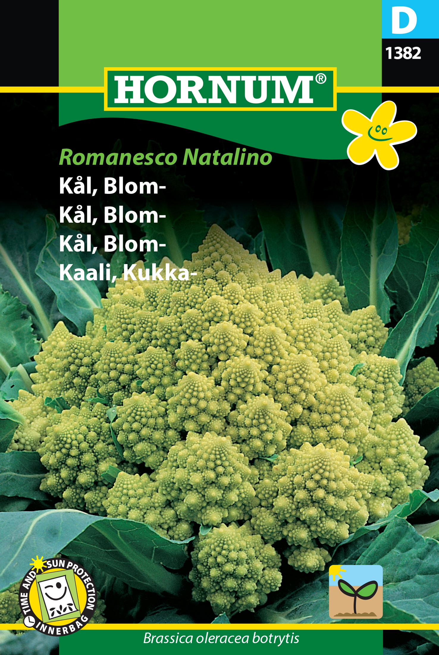 Fræ Blómkál Brassica oleracea botrytis Romanesco Natalino