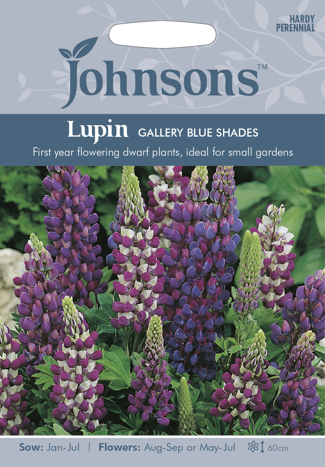 Fræ Lupin Gallery Blue Shades