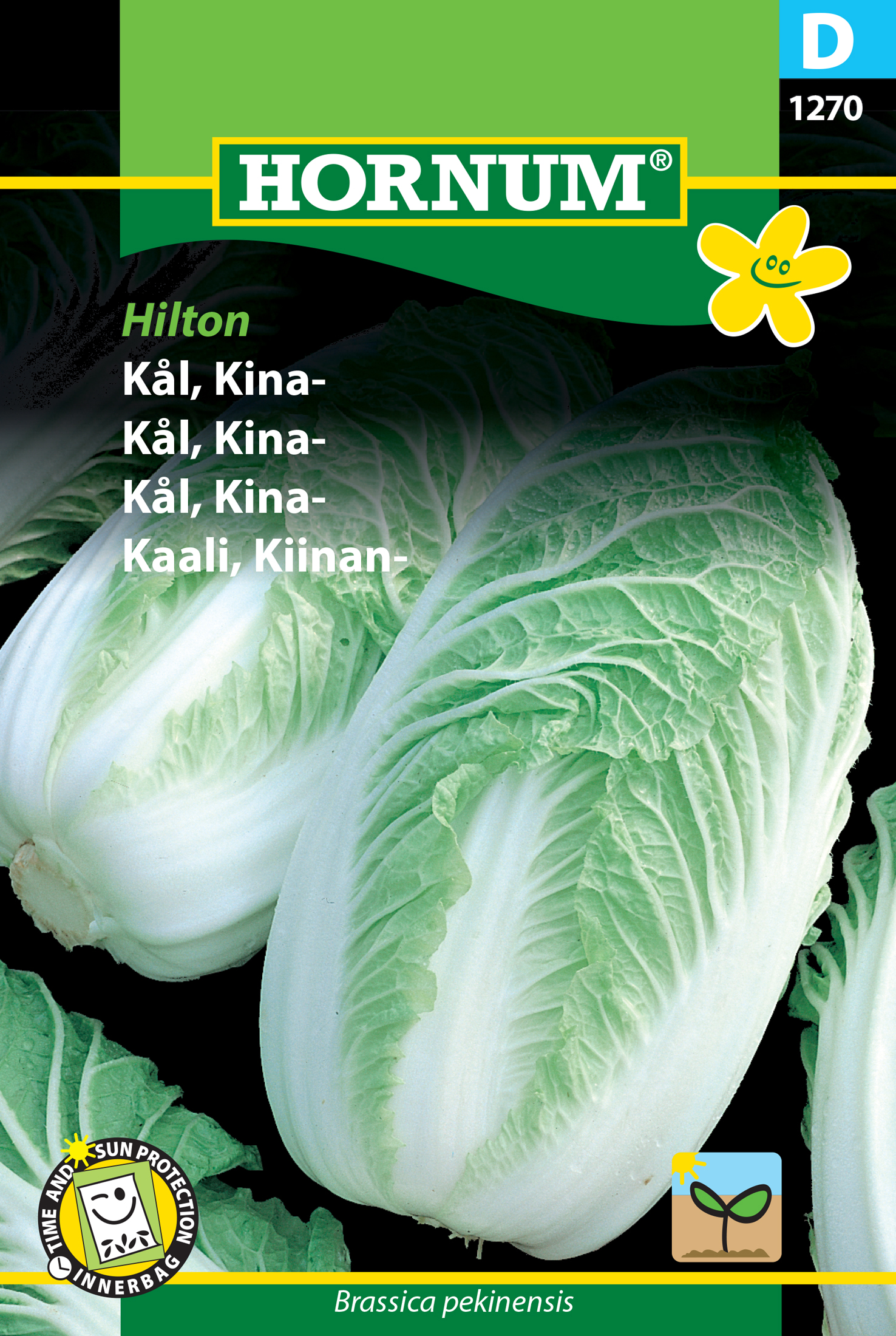 Fræ Kínakál Brassica pekinensis Hilton
