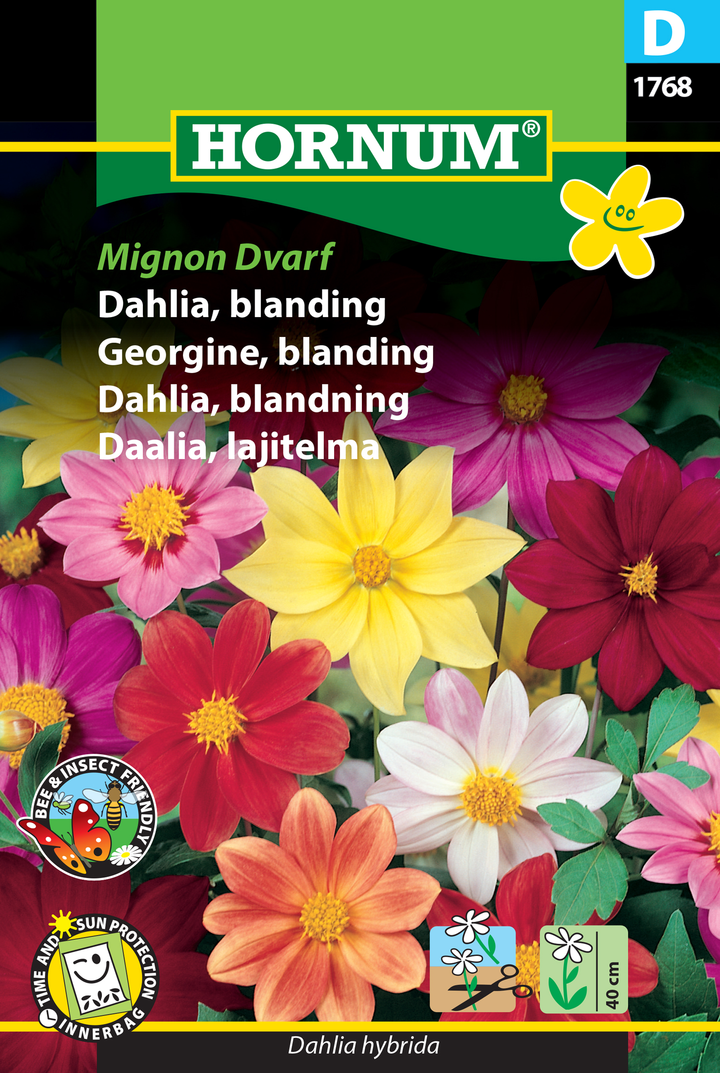Fræ Glitdalía Dahlia hybrida Mignon Dvarf