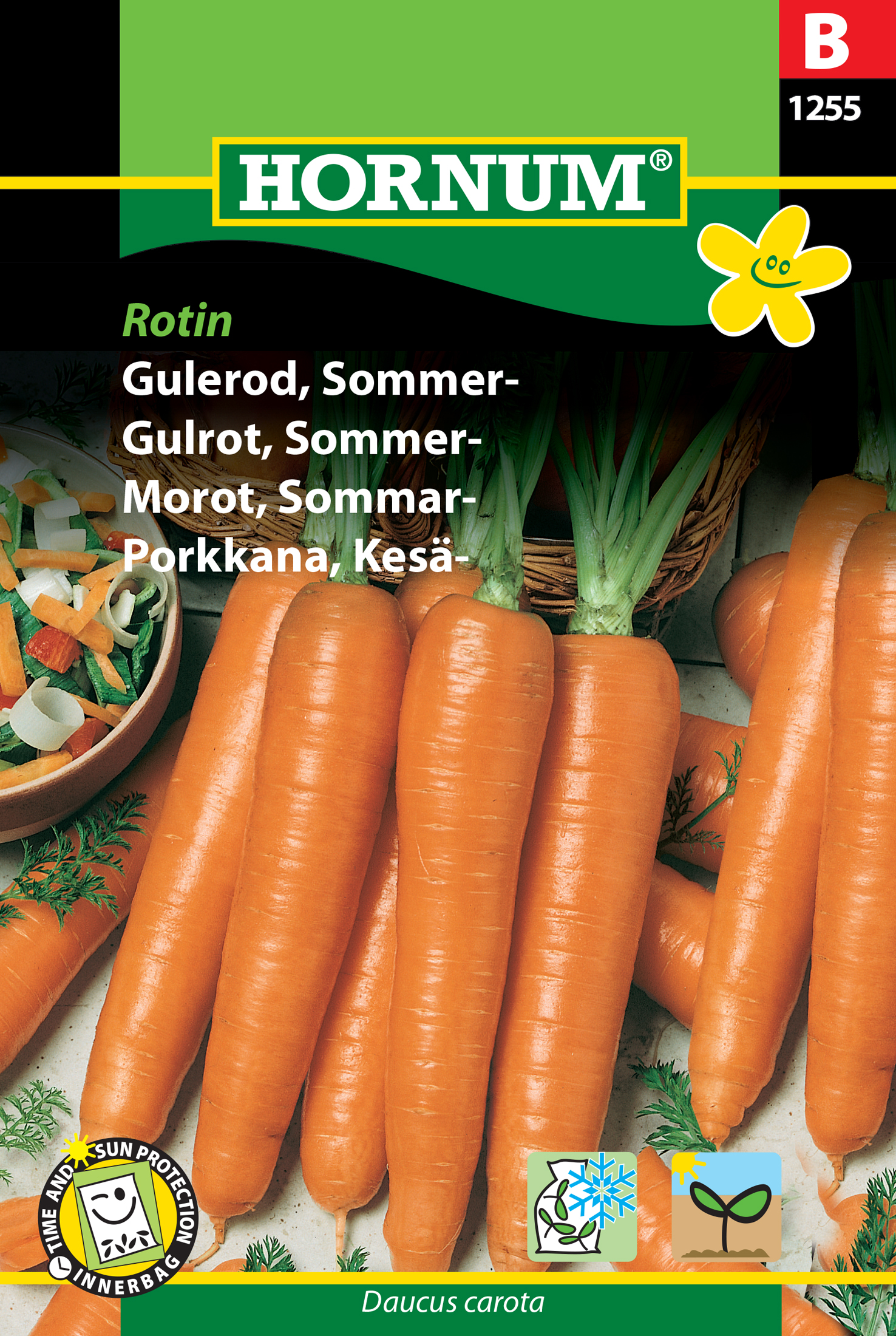 Fræ Gulrætur Daucus carota Rotin