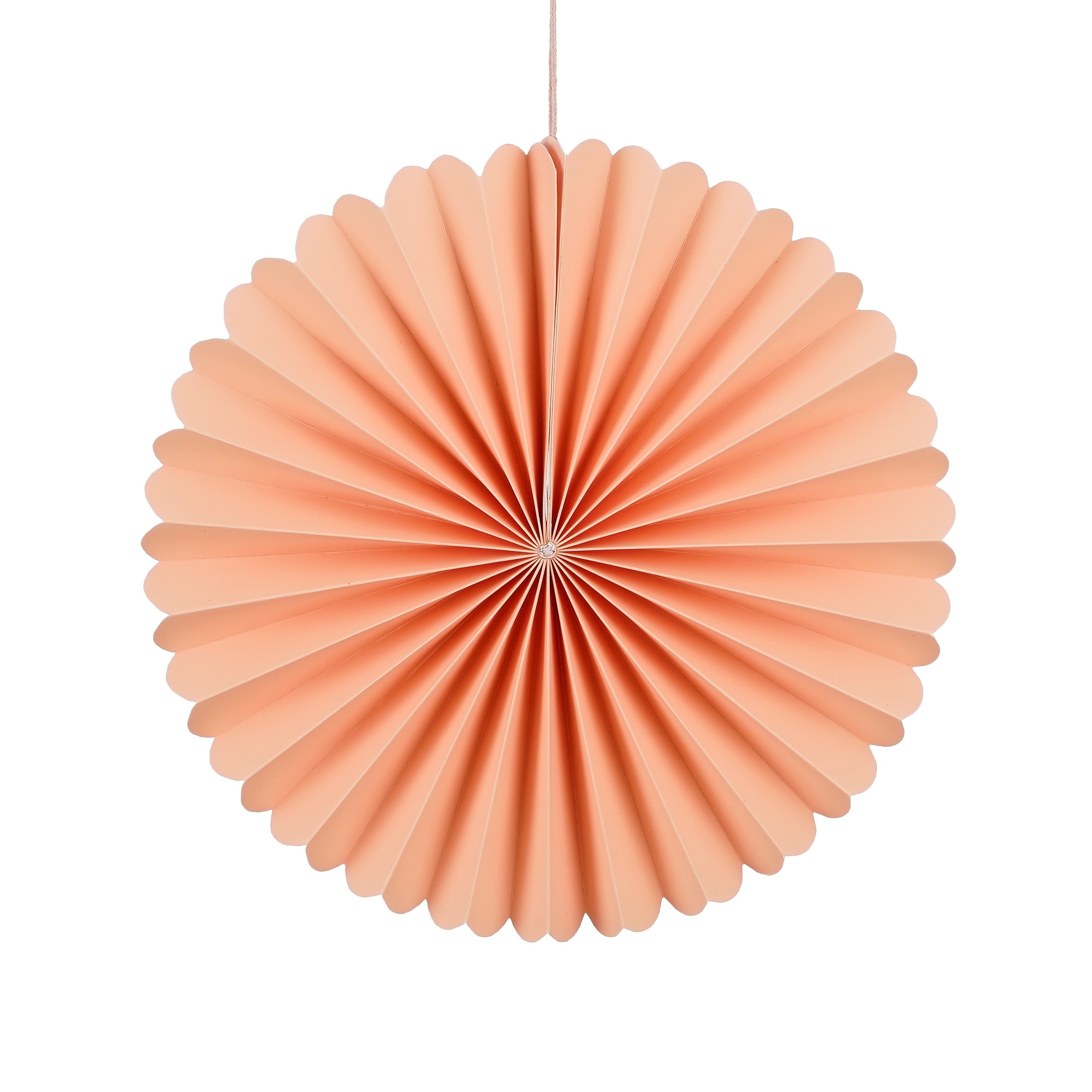 Pappaskraut Pally 2,5*30cm bleikt